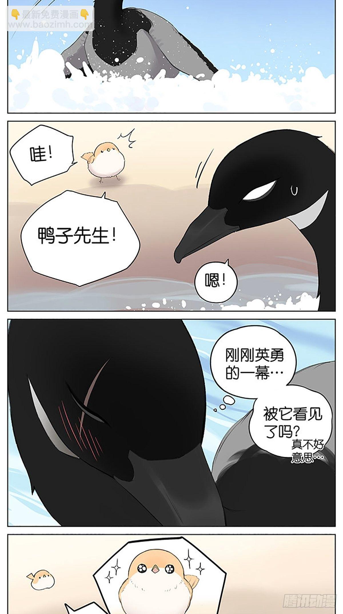沙滩上的鸟，夏天啦！-第40话