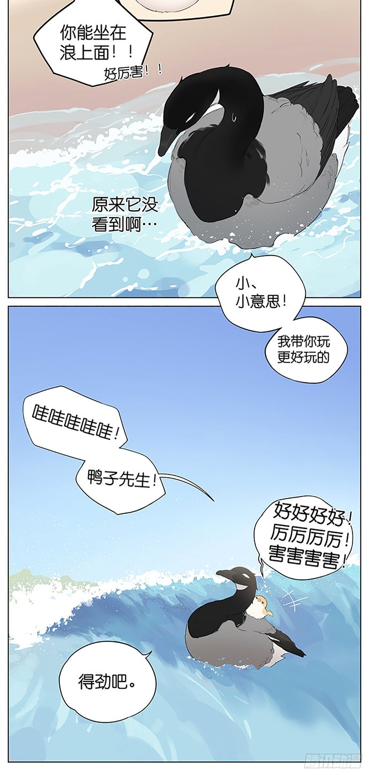 沙滩上的鸟，夏天啦！-第40话