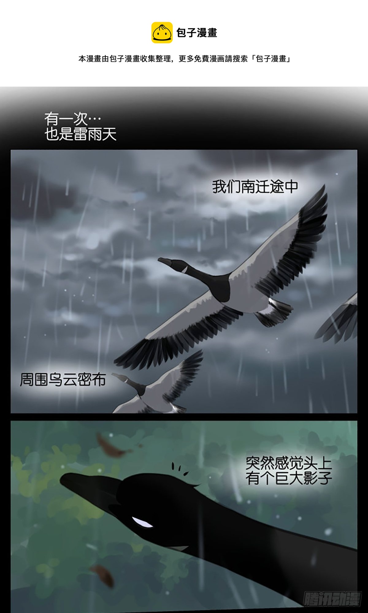 雷雨天的鸟-第42话