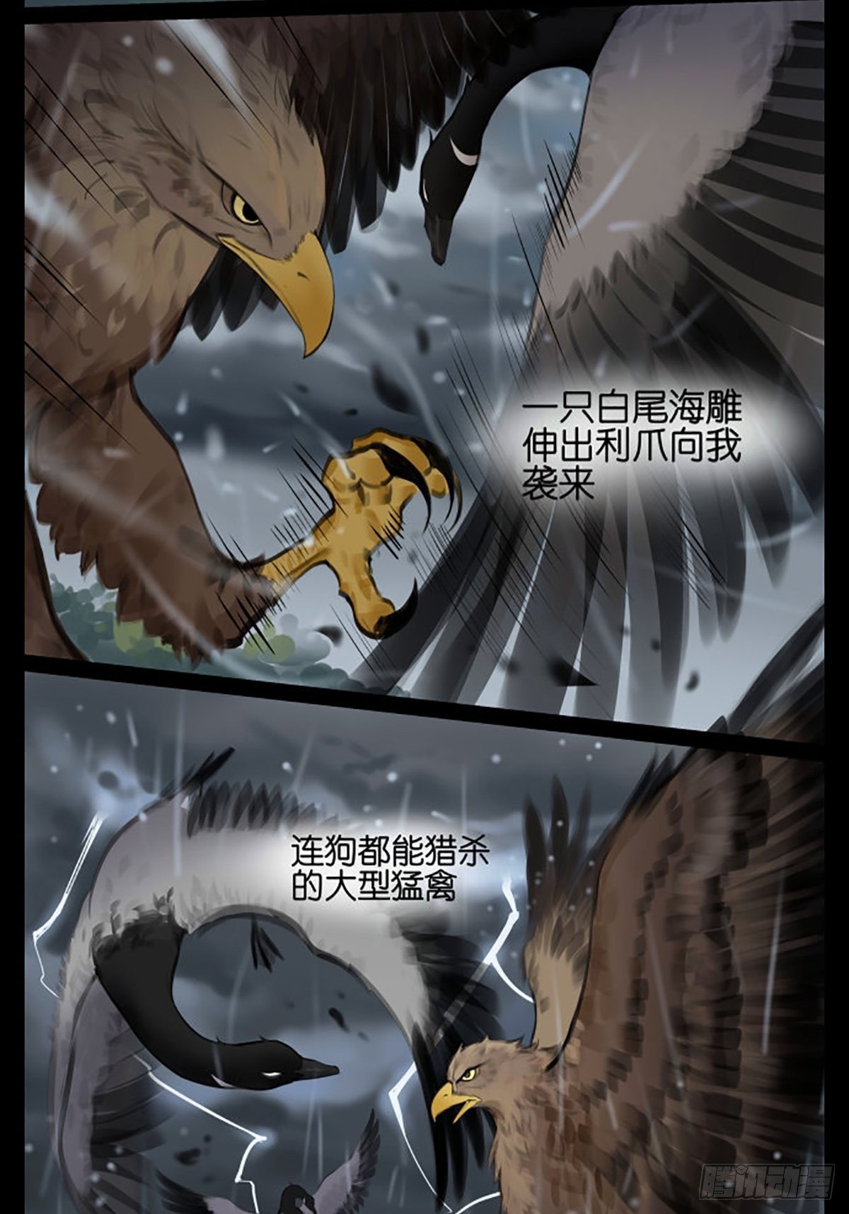 雷雨天的鸟-第42话
