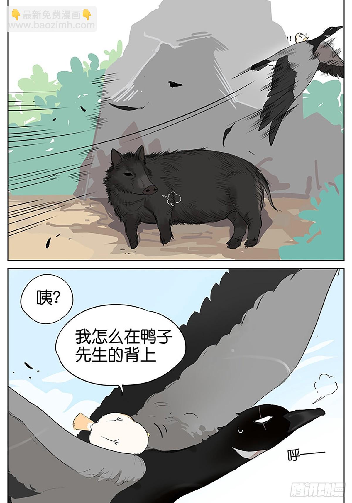 弹弹的小鸟-第46话