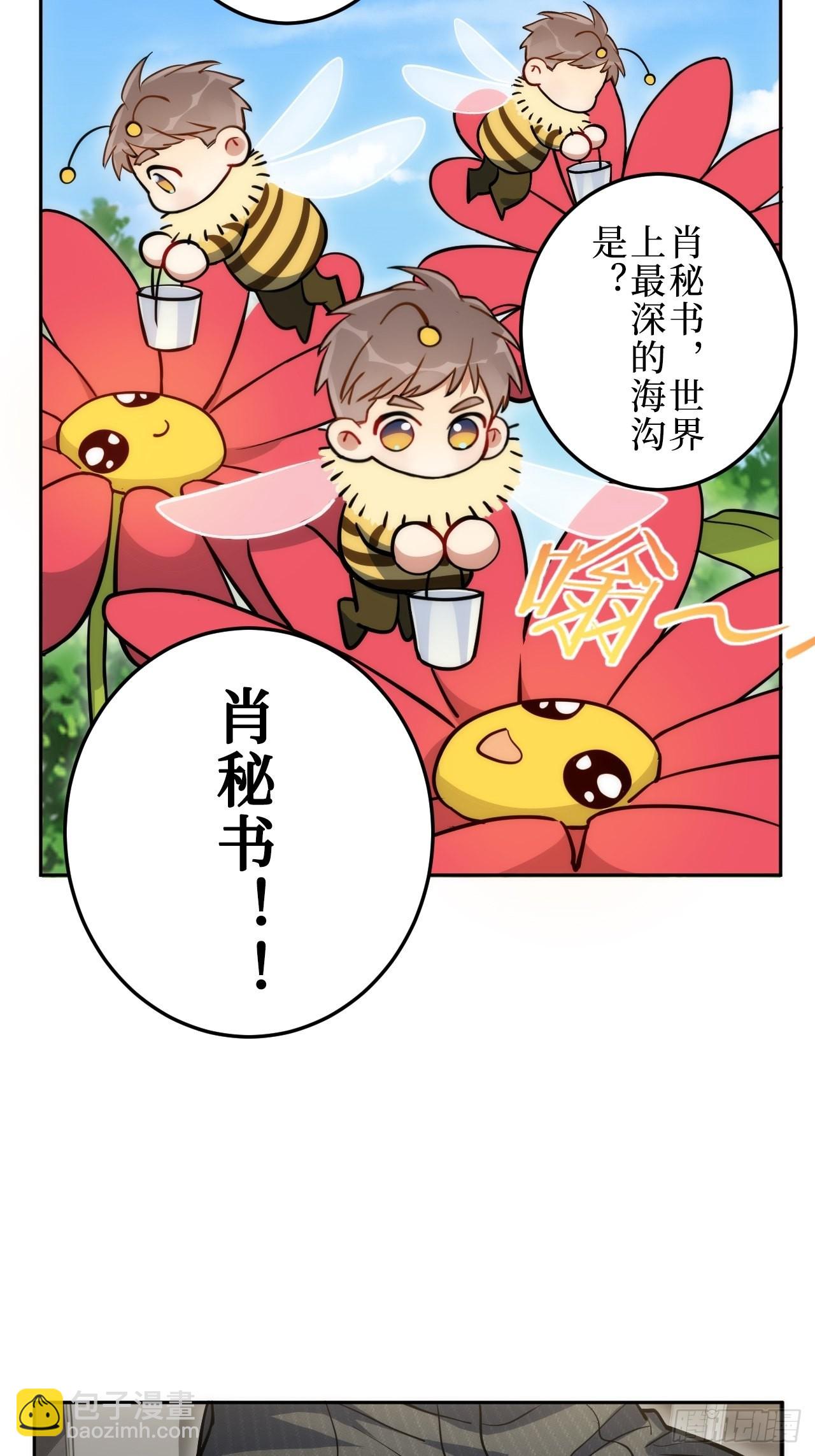 1.肖秘书的使命(1/2)-第2话