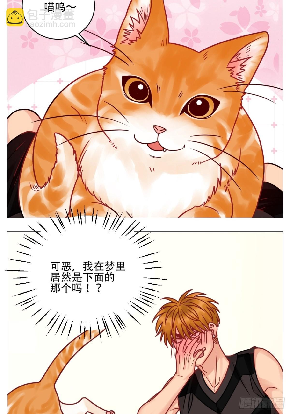 阿晏的属性又增加了！-第186话