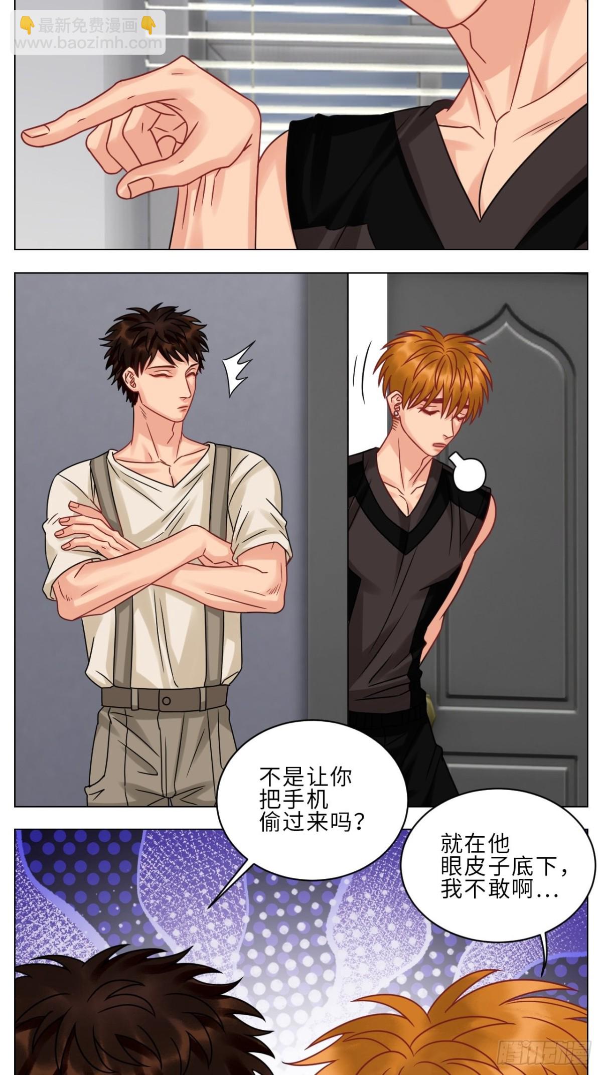 保护我方叶子！-第194话