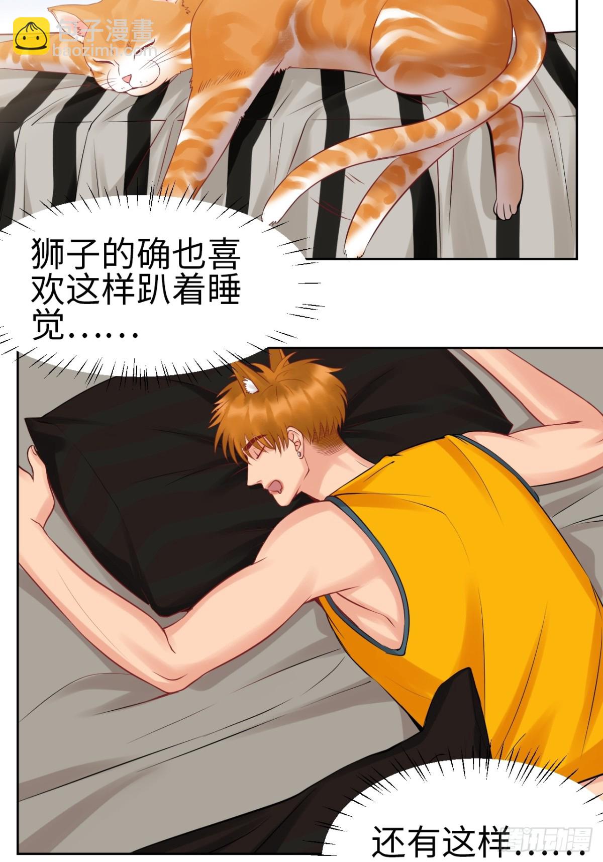 番外-代餐-第216话