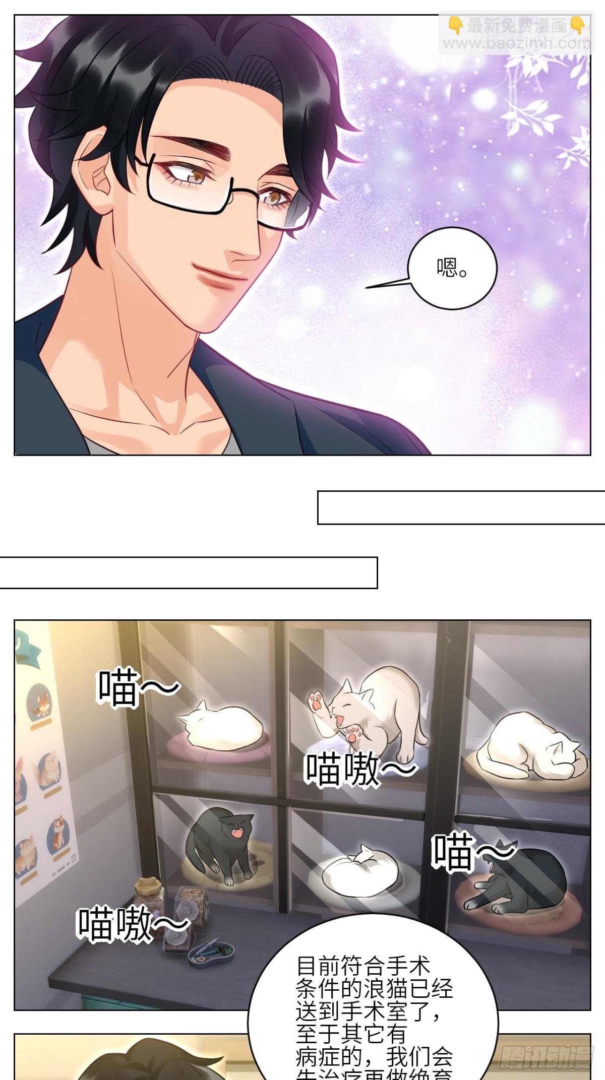 找到的可不止小猫咪-第240话