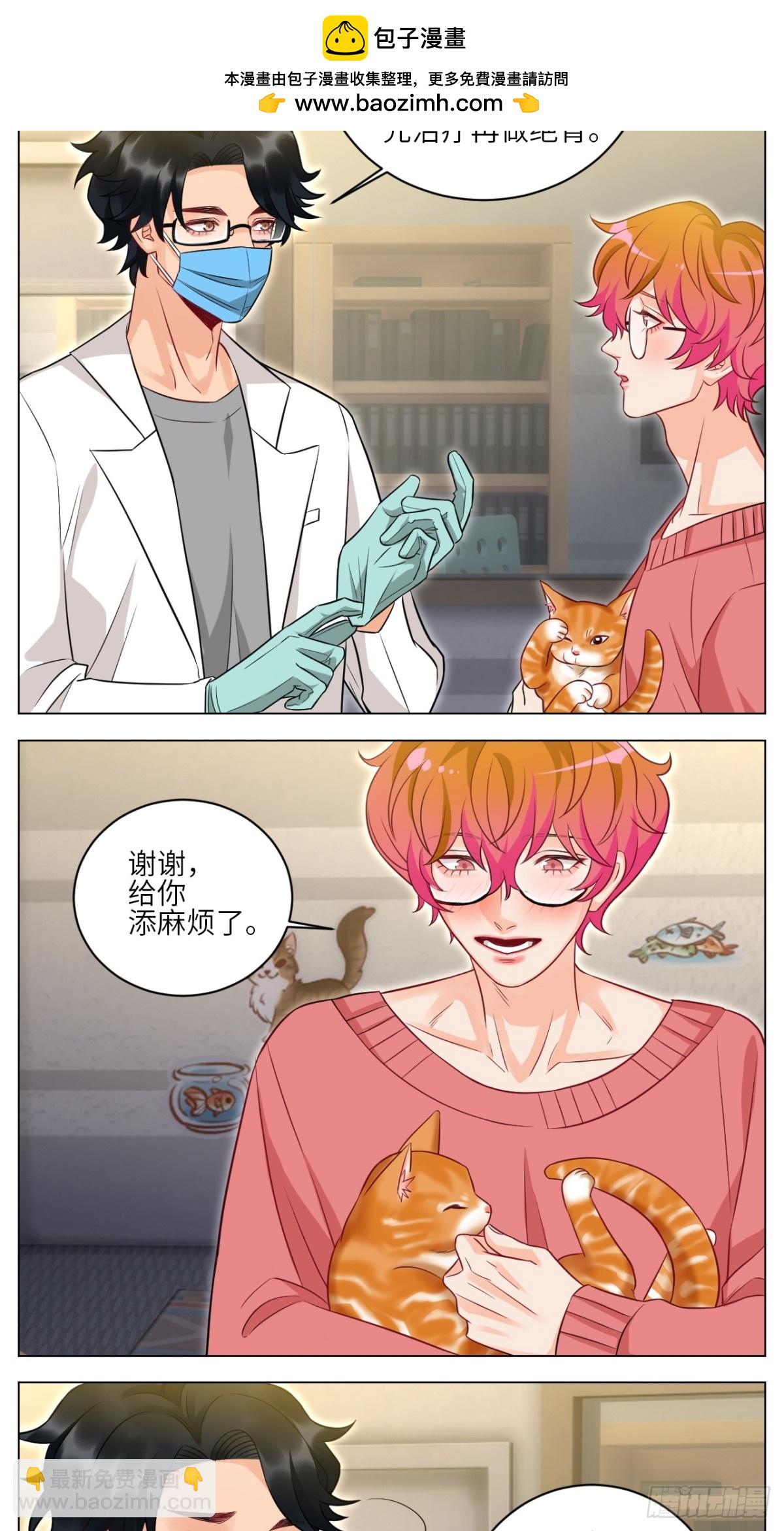 找到的可不止小猫咪-第240话