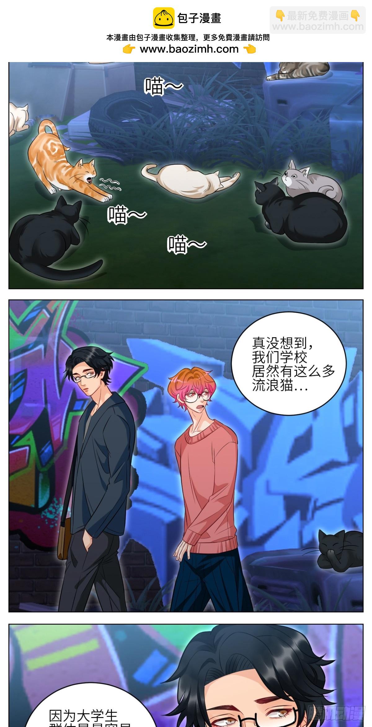 找到的可不止小猫咪-第240话
