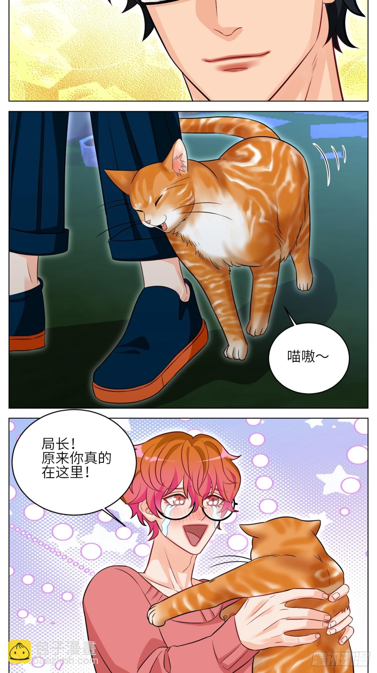 找到的可不止小猫咪-第240话