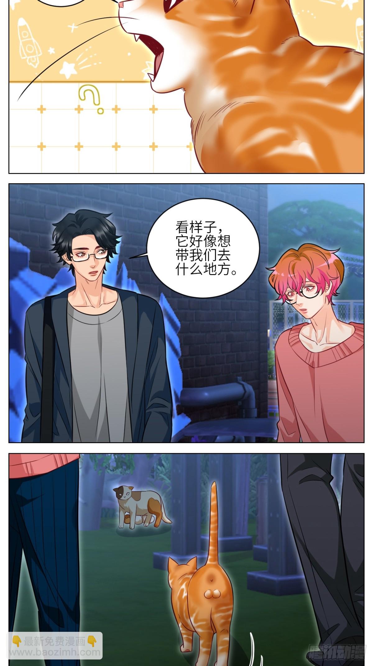 找到的可不止小猫咪-第240话