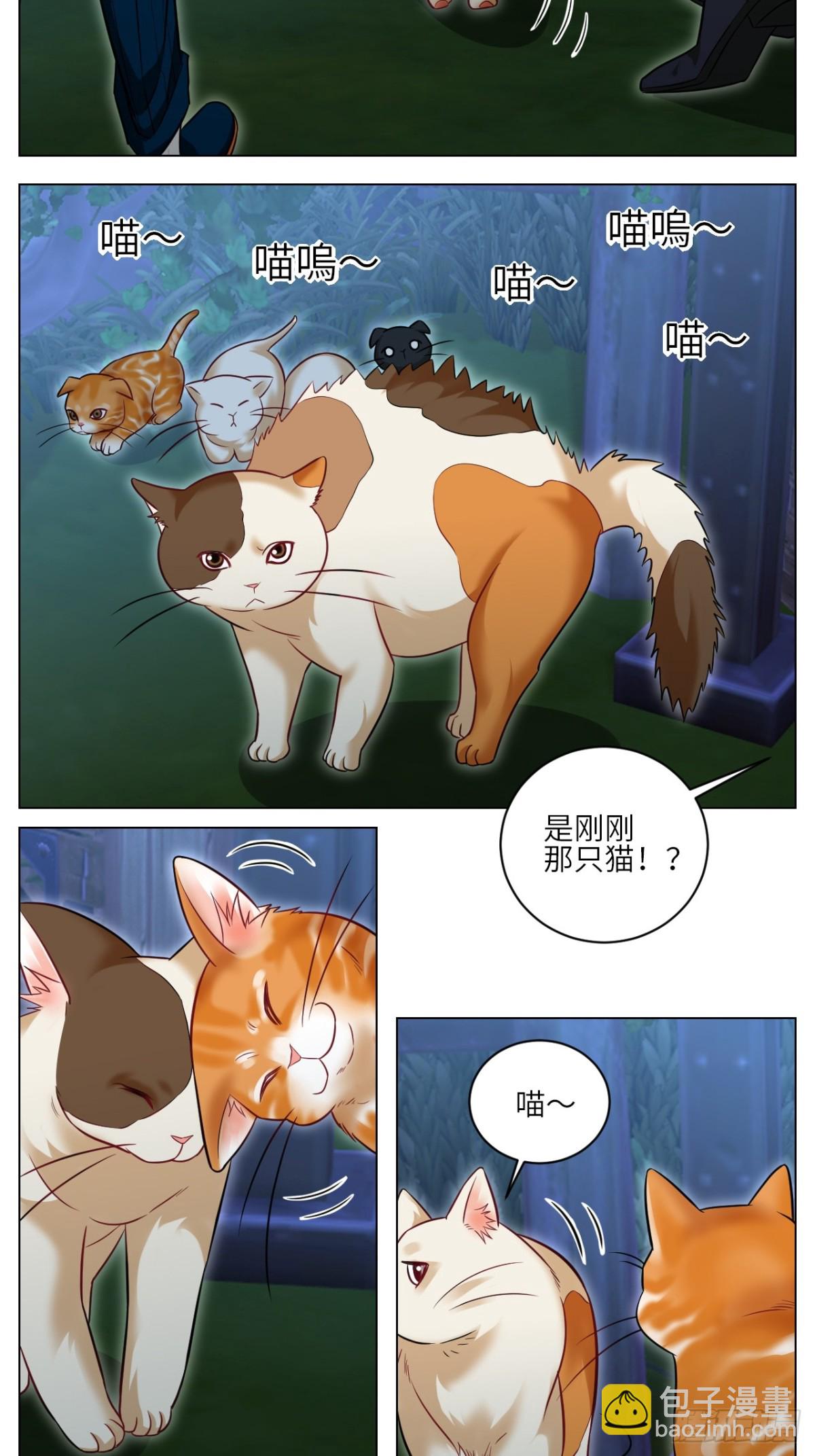 找到的可不止小猫咪-第240话