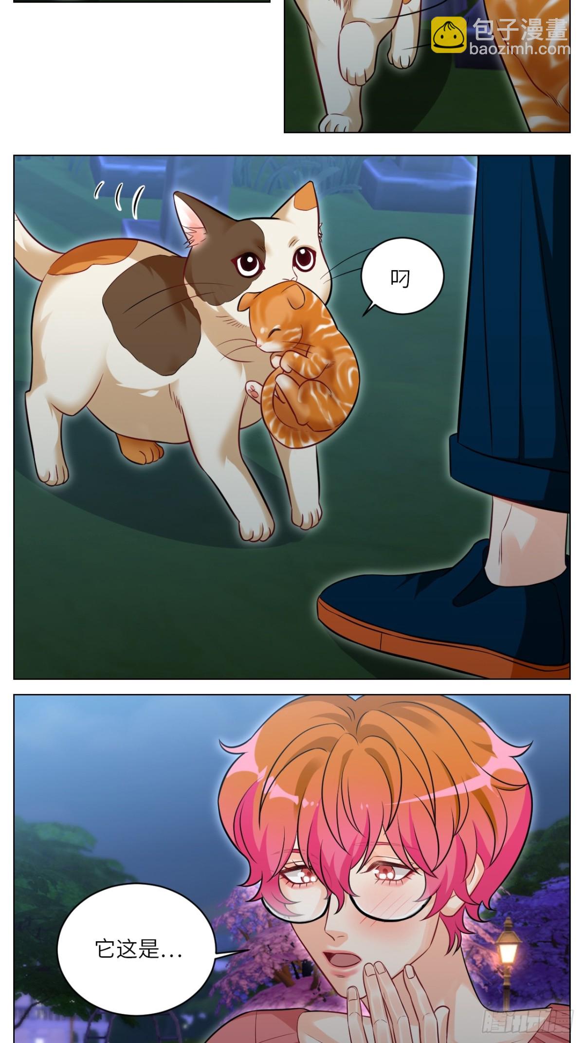找到的可不止小猫咪-第240话