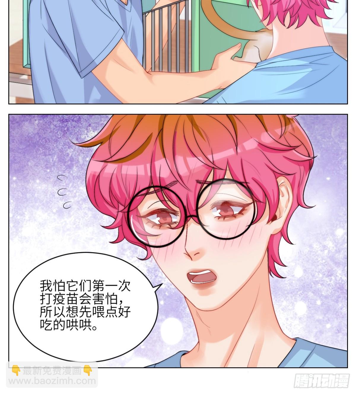 小猫咪们的小护士-第252话