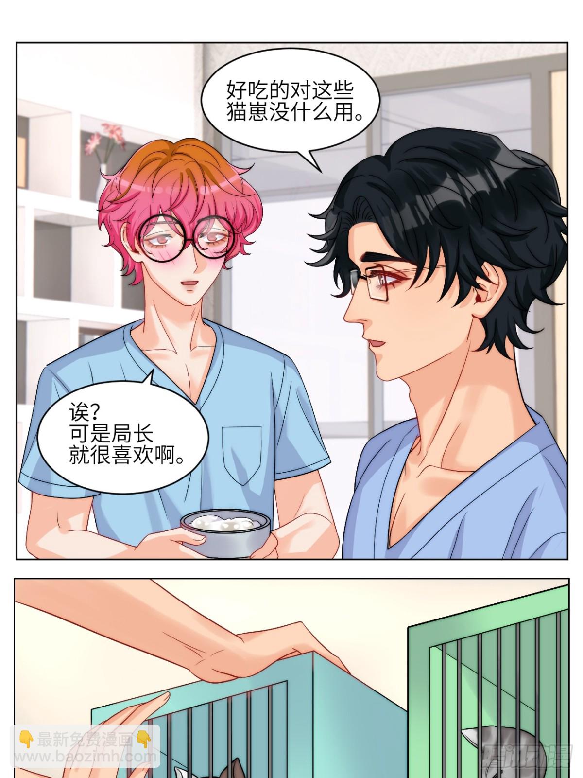 小猫咪们的小护士-第252话
