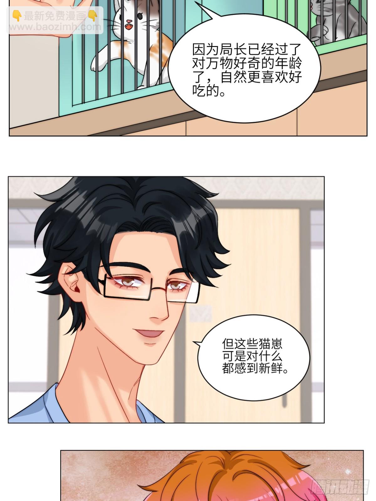 小猫咪们的小护士-第252话