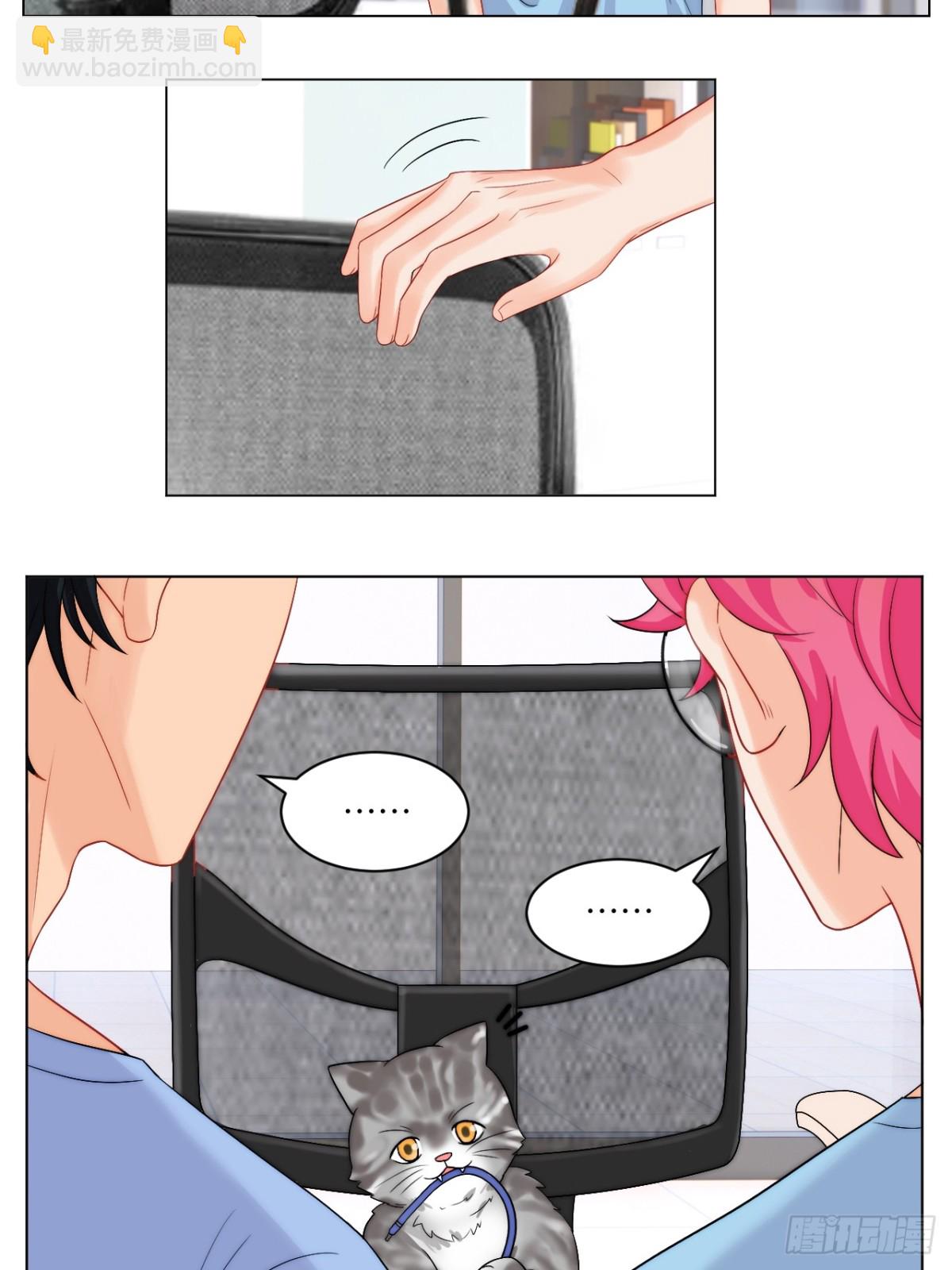 小猫咪们的小护士-第252话