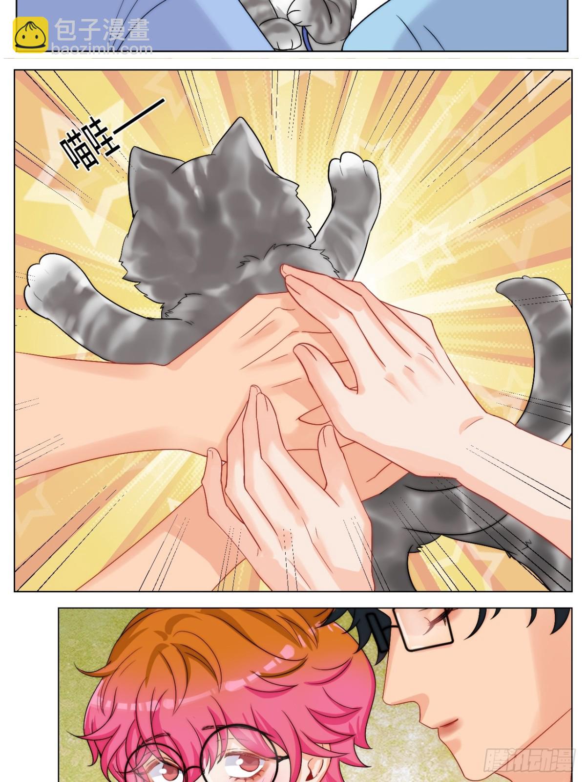 小猫咪们的小护士-第252话