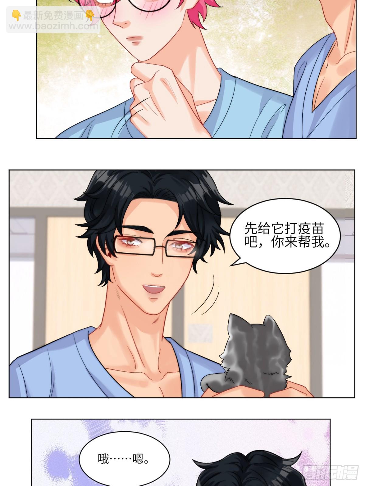 小猫咪们的小护士-第252话