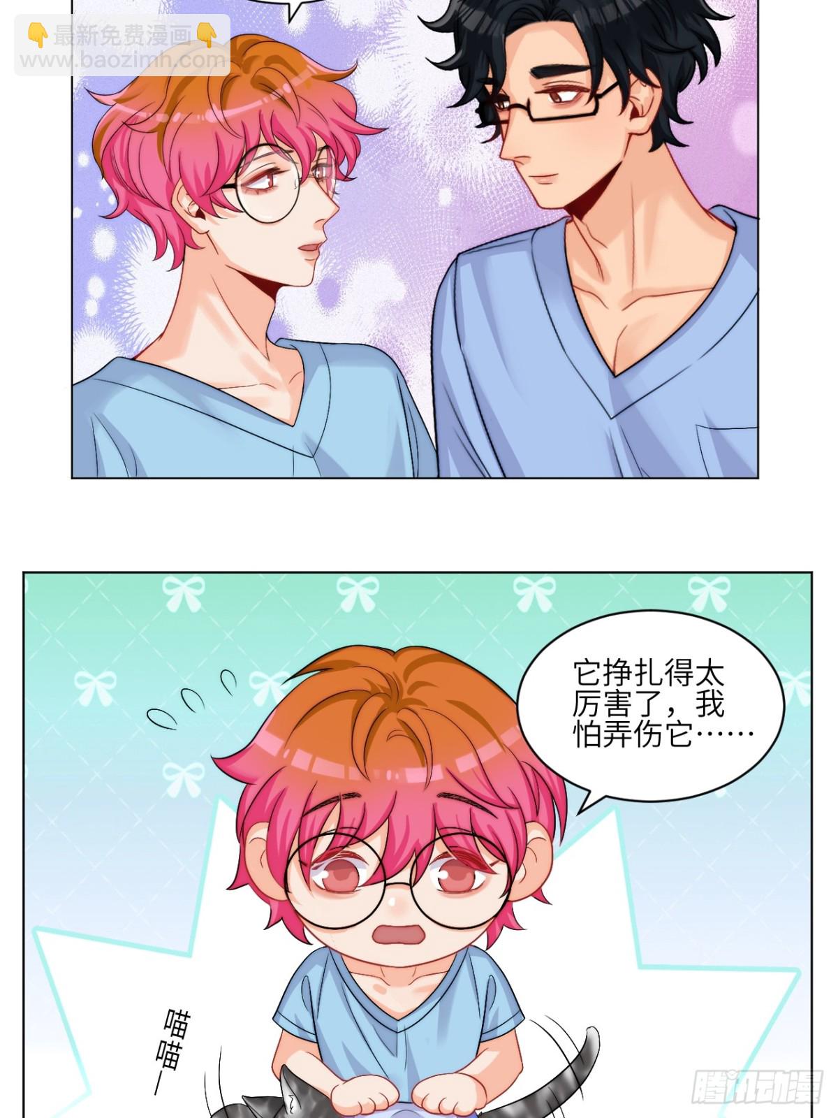 小猫咪们的小护士-第252话