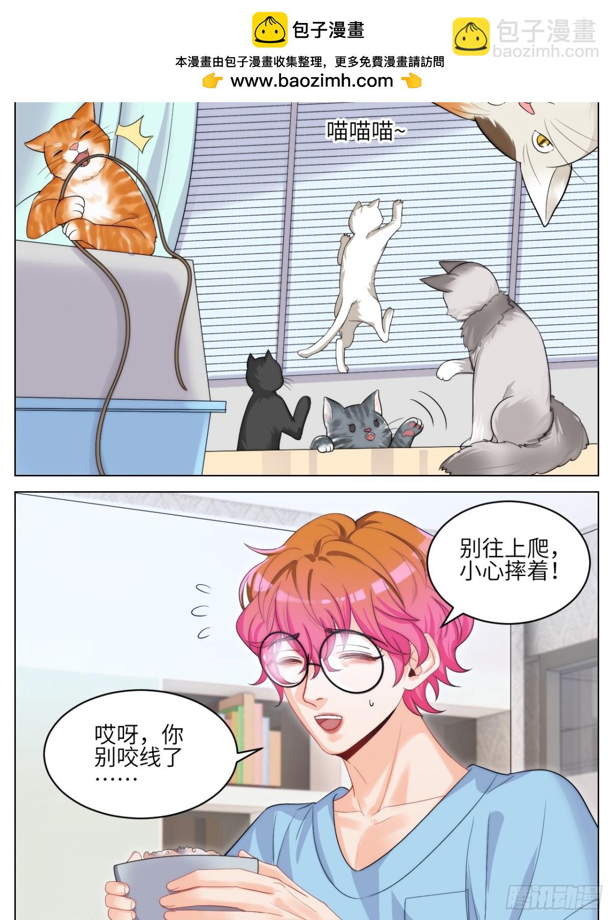 小猫咪们的小护士-第252话