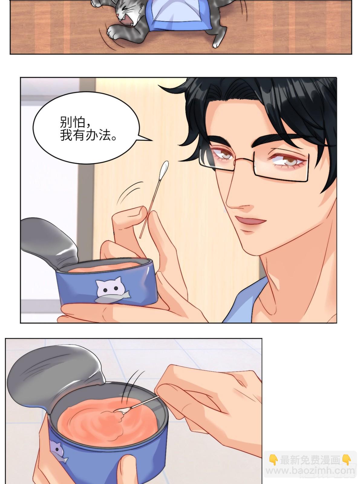 小猫咪们的小护士-第252话
