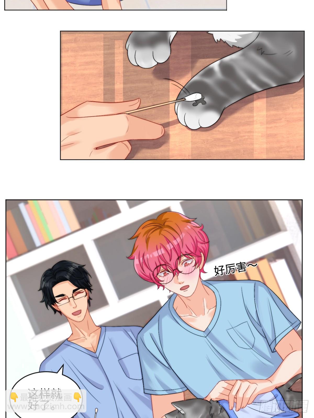 小猫咪们的小护士-第252话