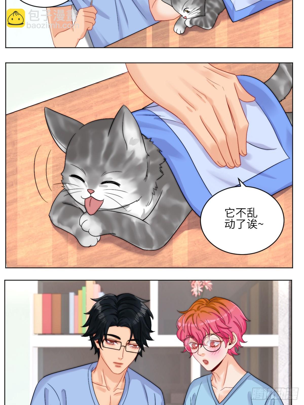 小猫咪们的小护士-第252话