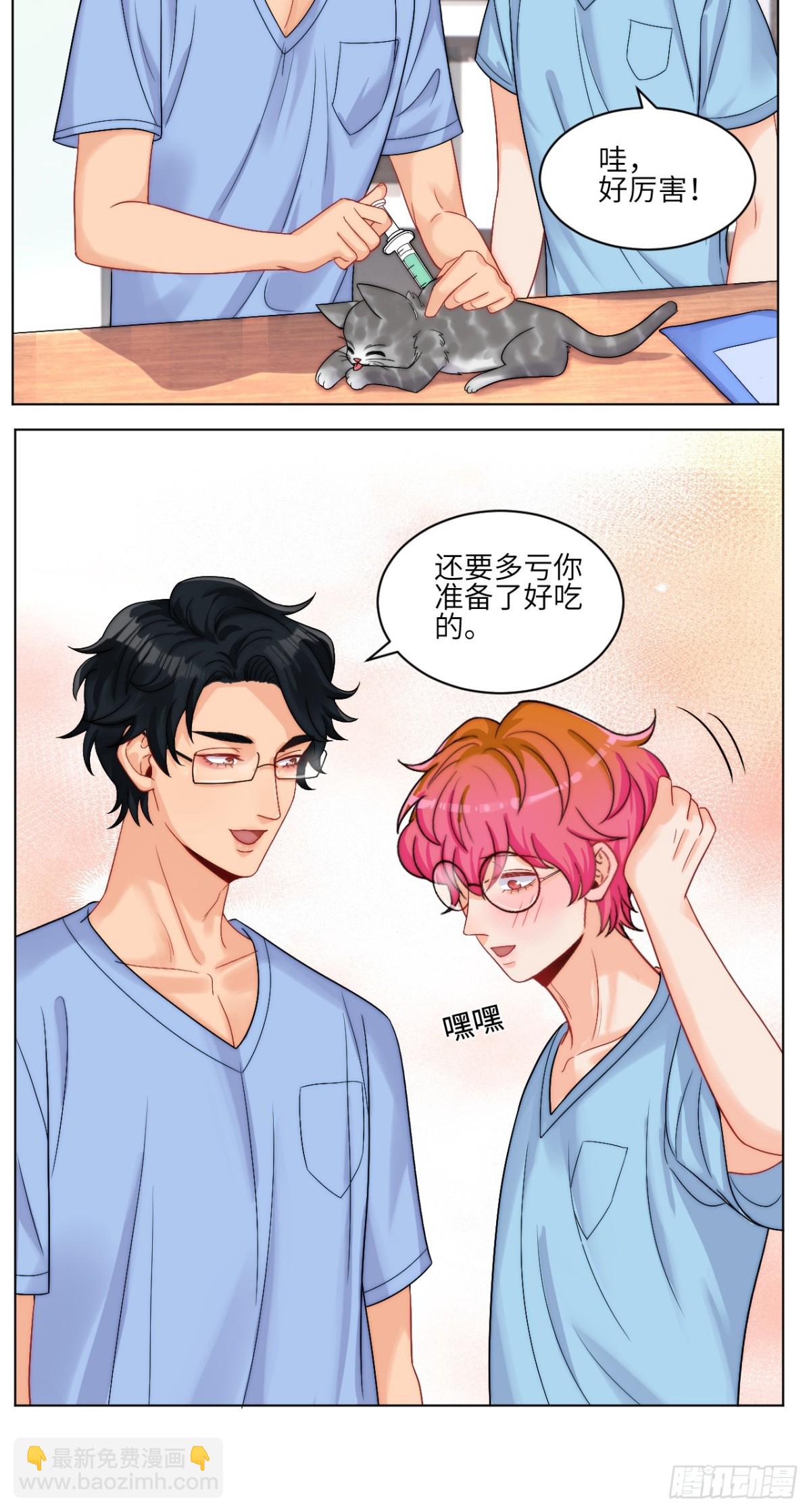 小猫咪们的小护士-第252话