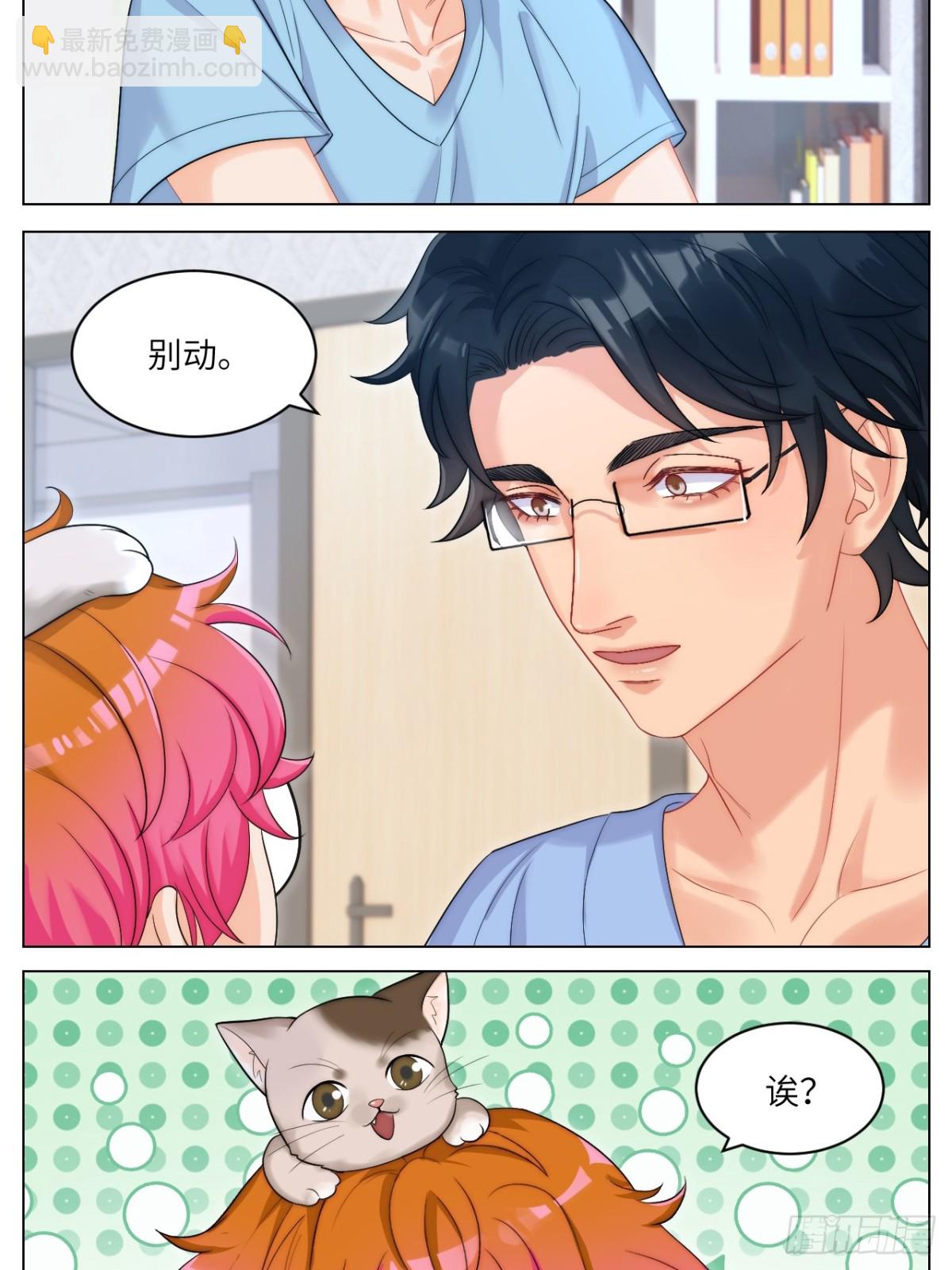 小猫咪们的小护士-第252话