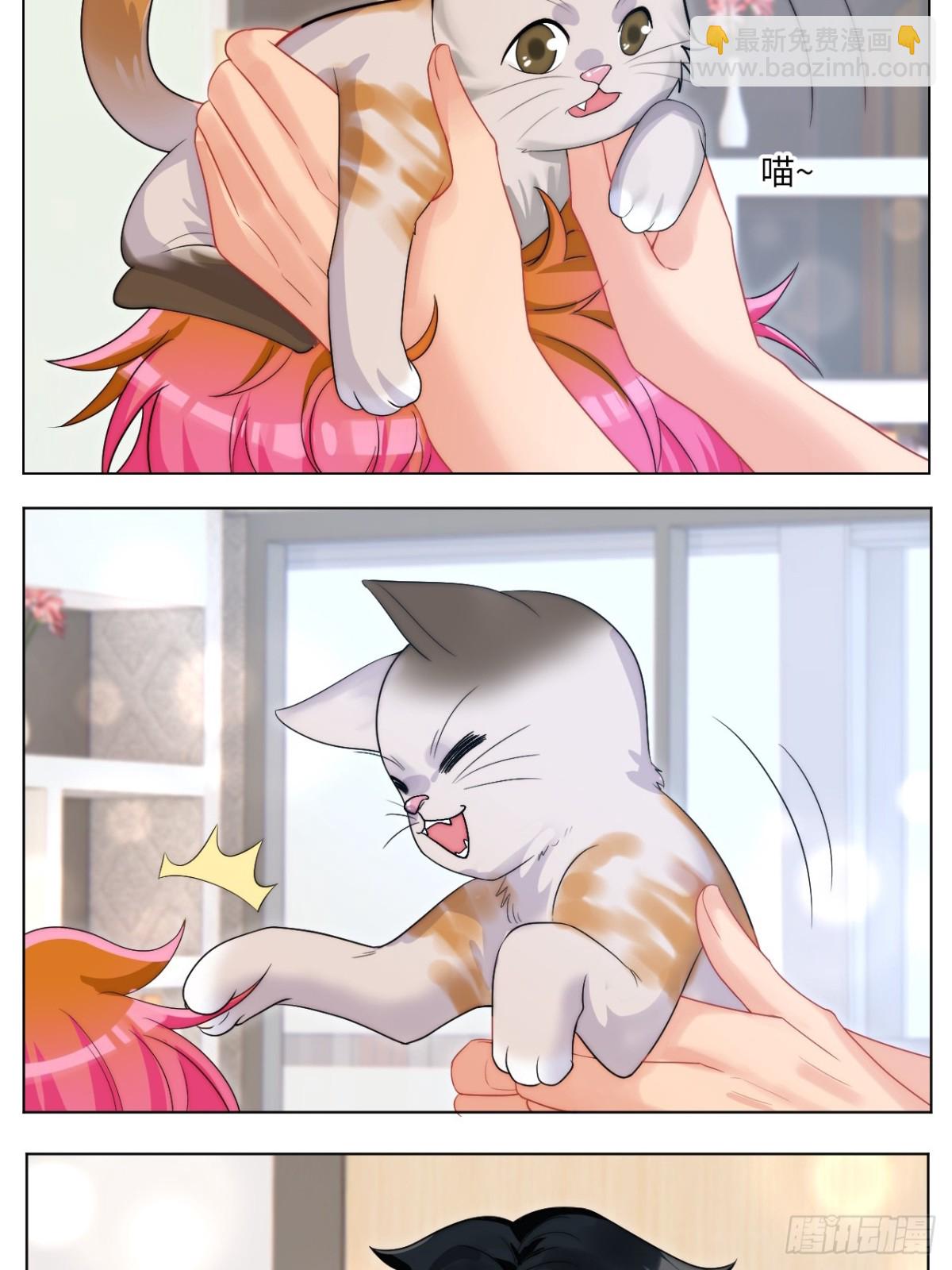 小猫咪们的小护士-第252话
