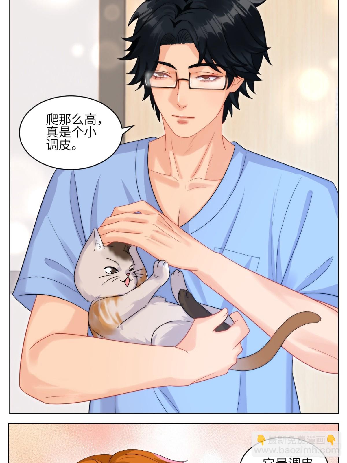 小猫咪们的小护士-第252话
