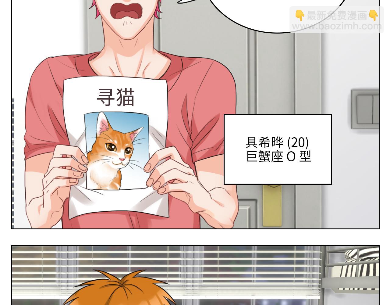 猫奴(1/2)-第18话