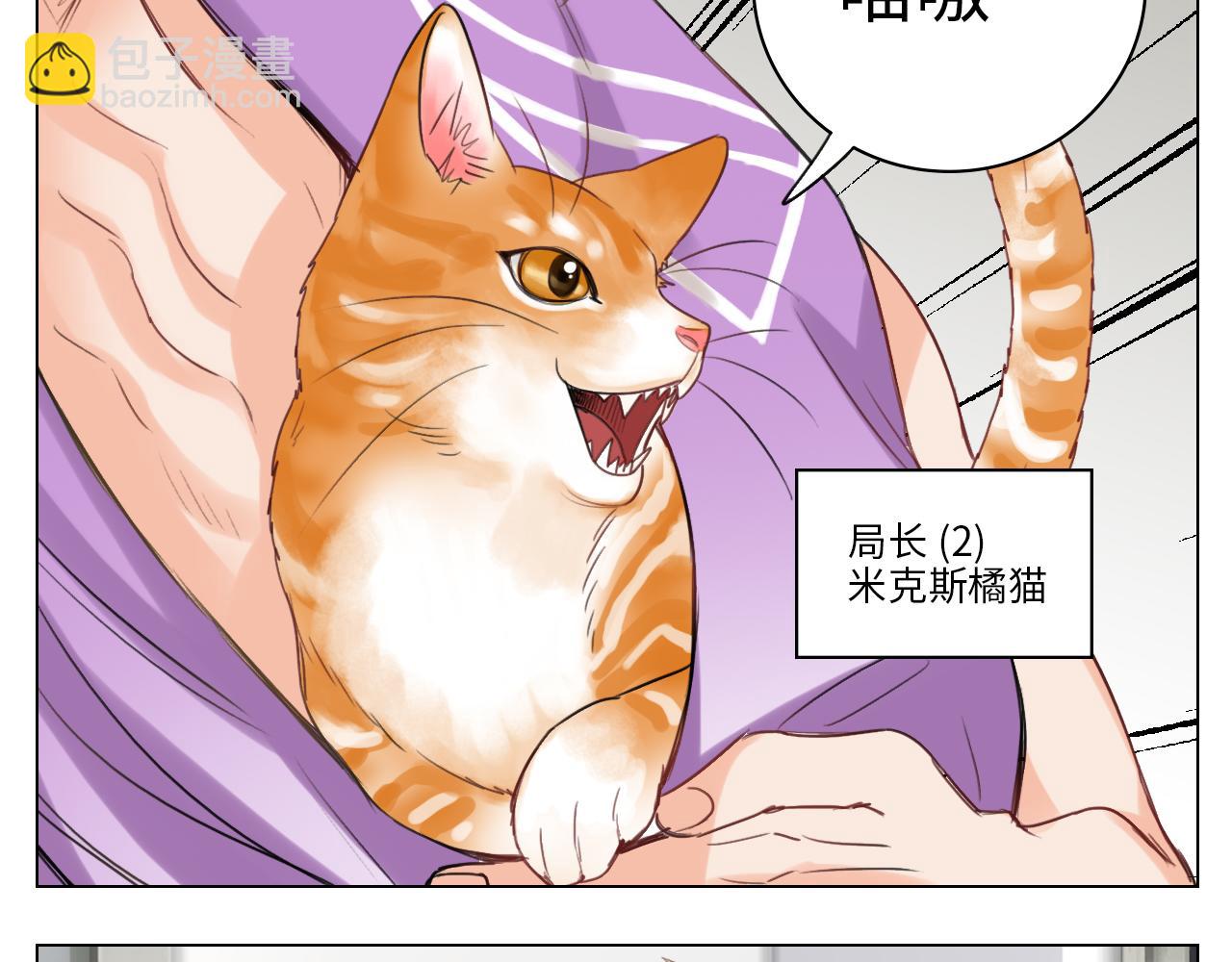 猫奴(1/2)-第18话