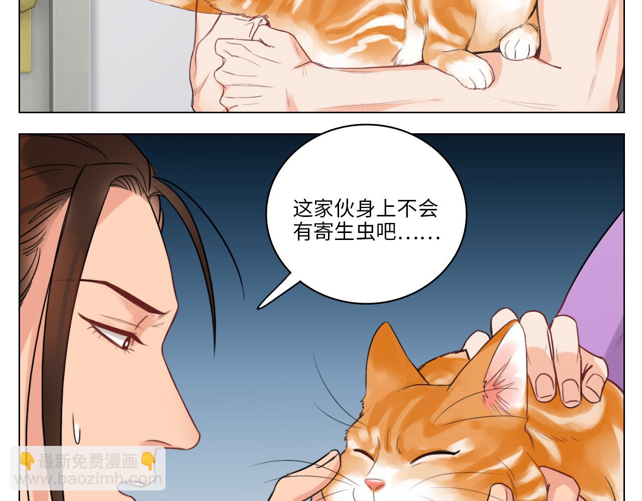猫奴(1/2)-第18话