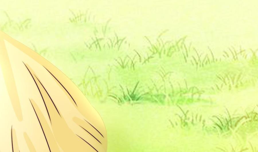 第191话 公开表白(1/2)-第188话