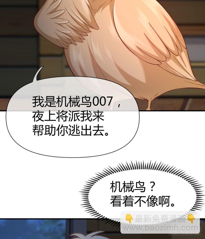 第107话 翘家小鸟被抓现场(1/2)-第110话