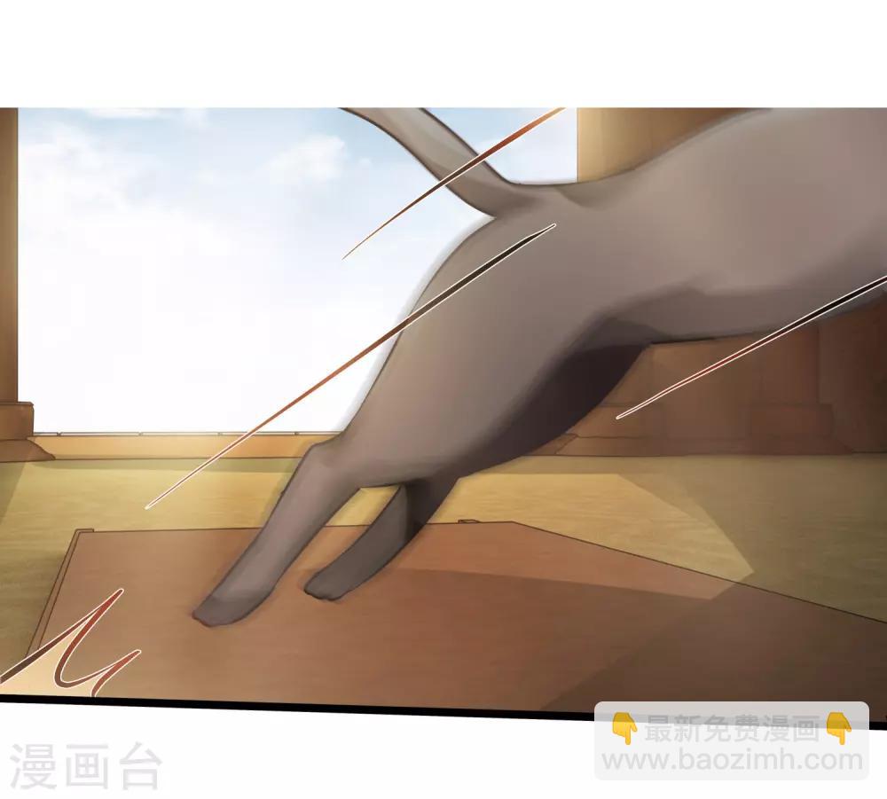 第54话 猫妖指认-第56话