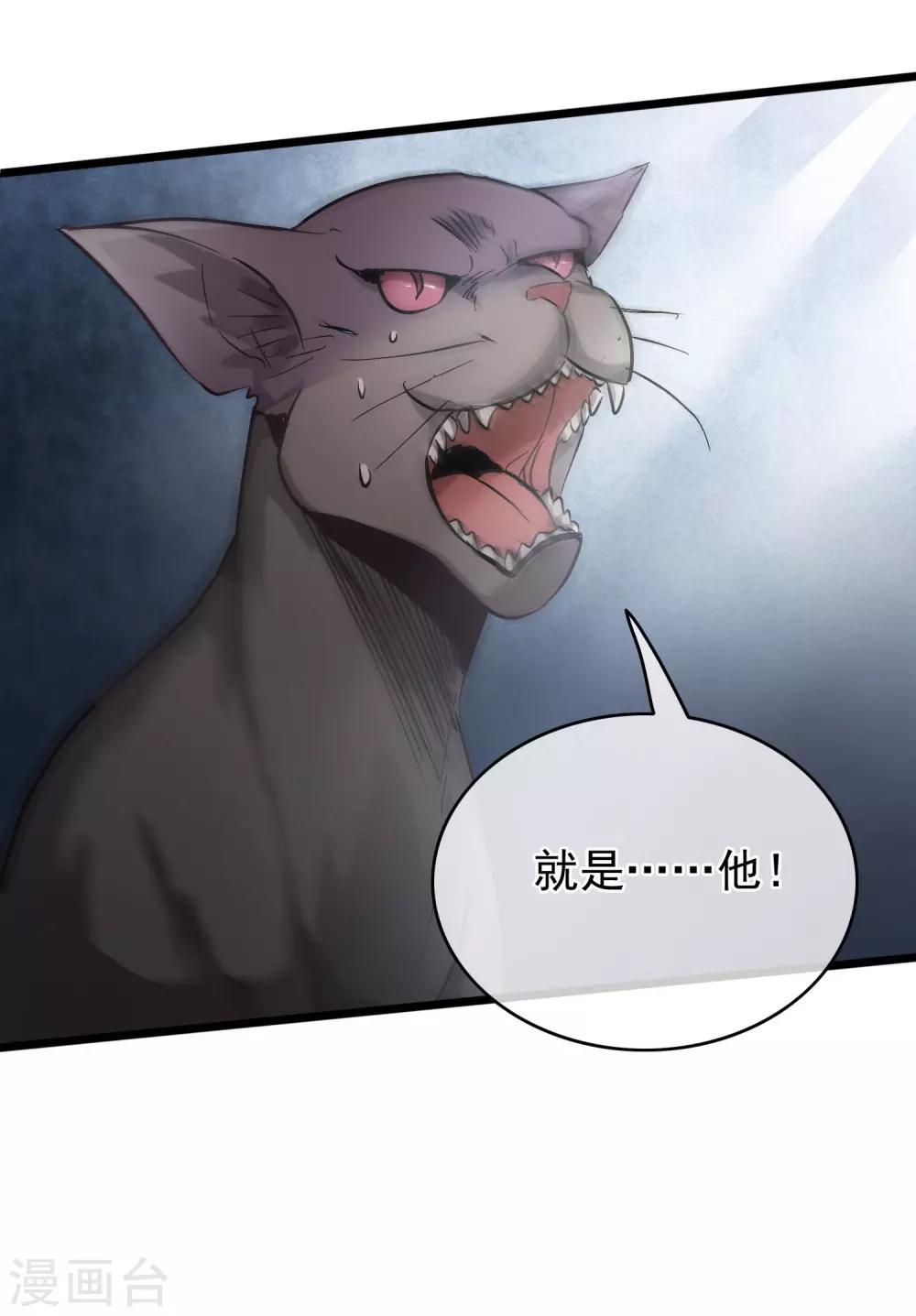第54话 猫妖指认-第56话