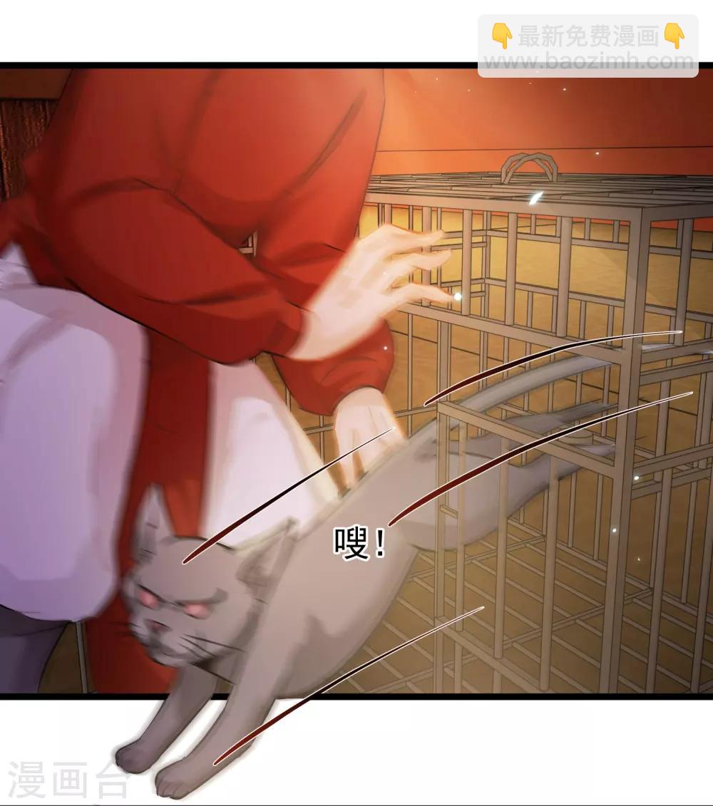 第54话 猫妖指认-第56话