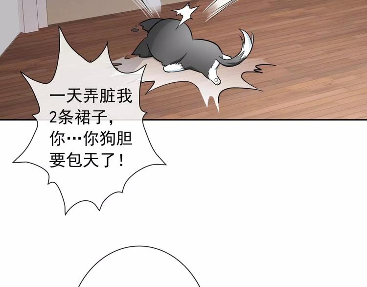 第62话 夜袭惯犯！？(1/3)-第64话