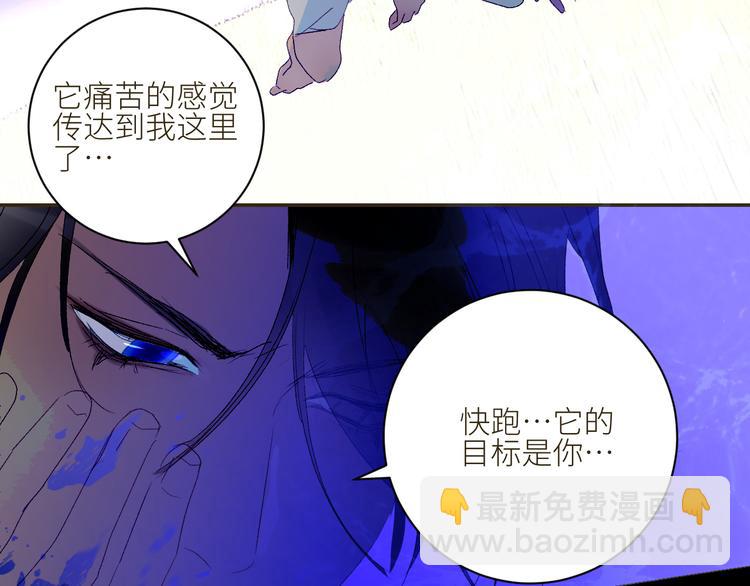 第61话  大章鱼的愿望(1/2)-第64话