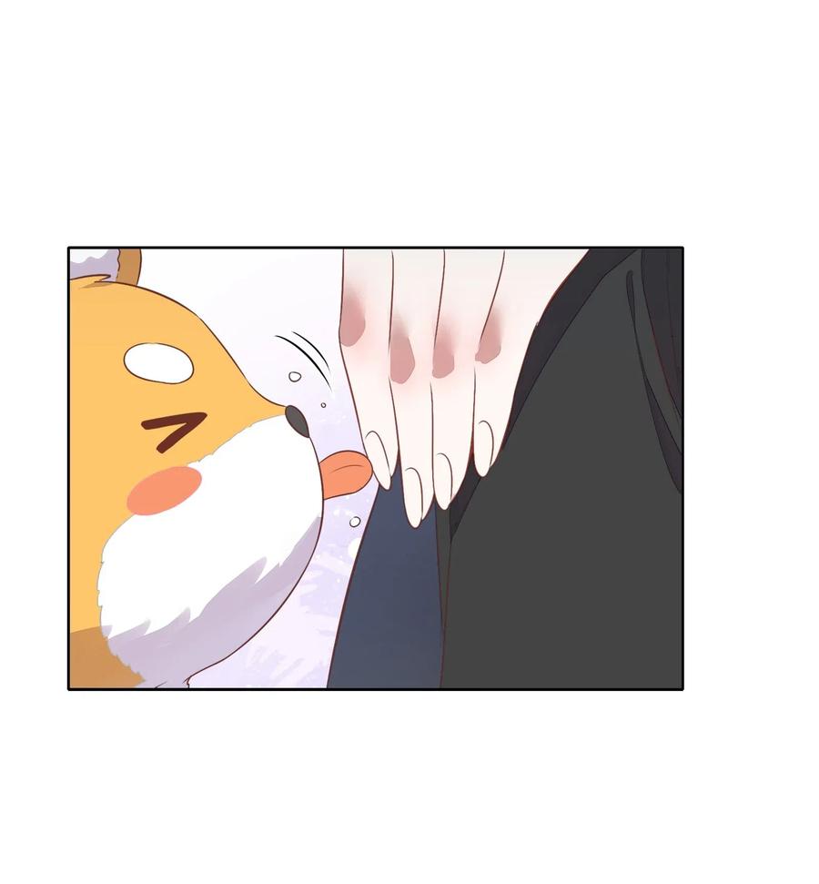 053 柴柴不想分开(1/2)-第62话