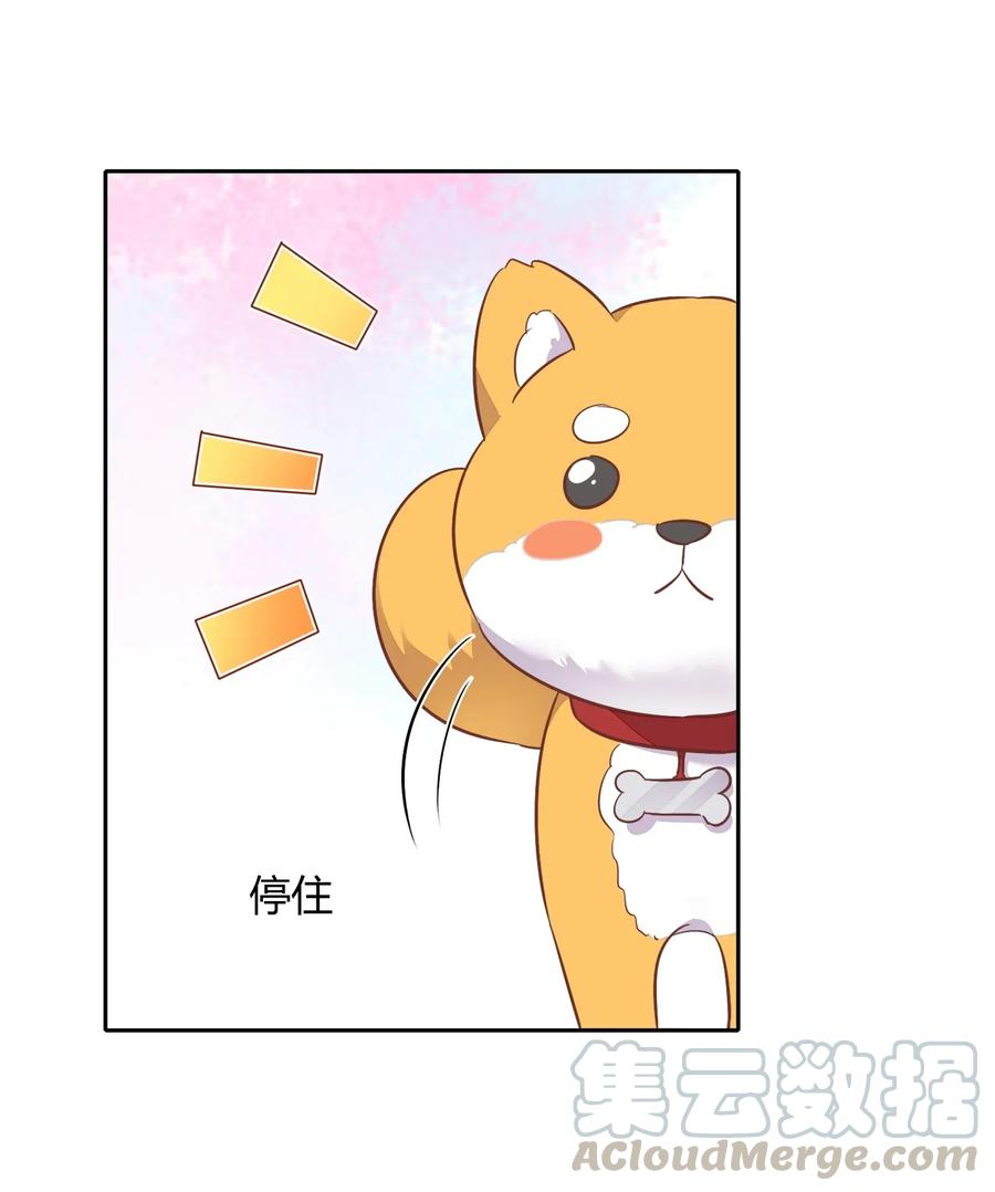 057 柴柴跑丢了？！(1/2)-第66话