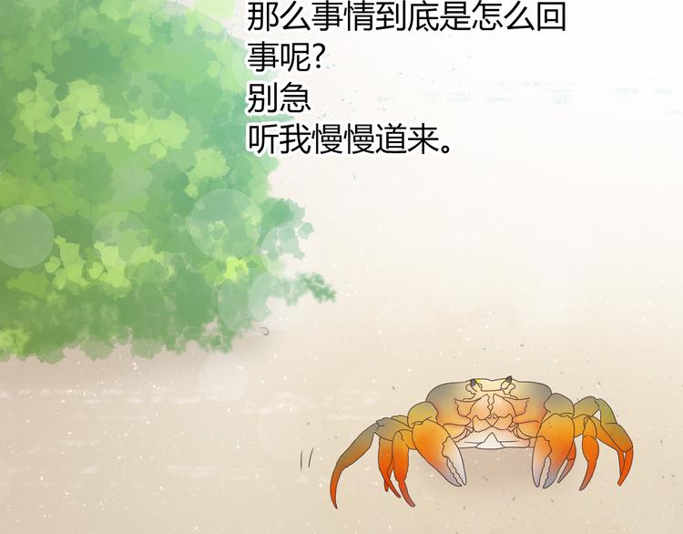 第41话 能够实现愿望的海边(1/2)-第42话