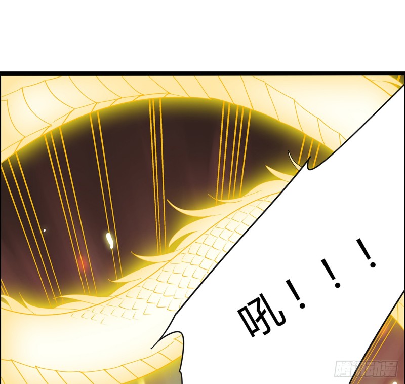 67话 人龙仇怨(1/2)-第66话