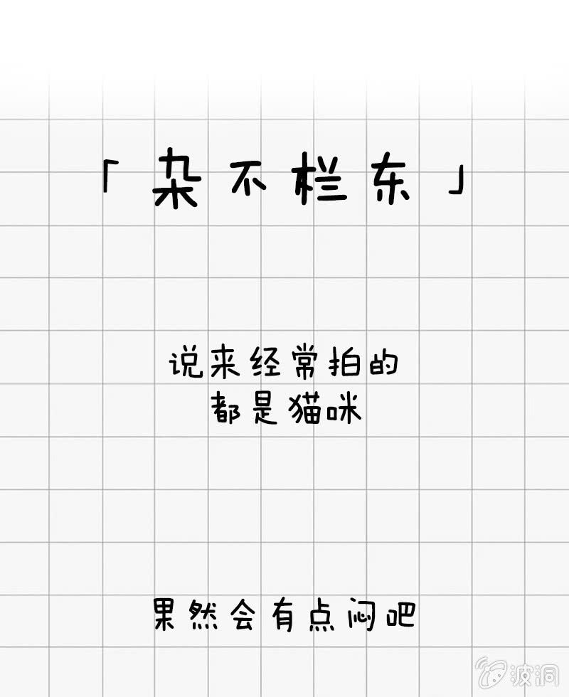 真心话-第14话