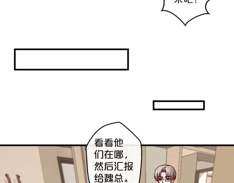 第38话 白哲失踪！(1/2)-第38话