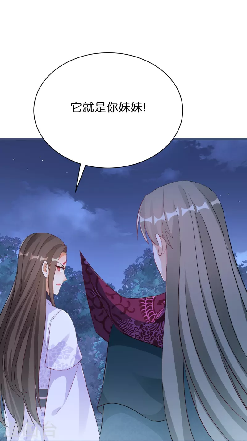 第279话 小羊的身份-第254话