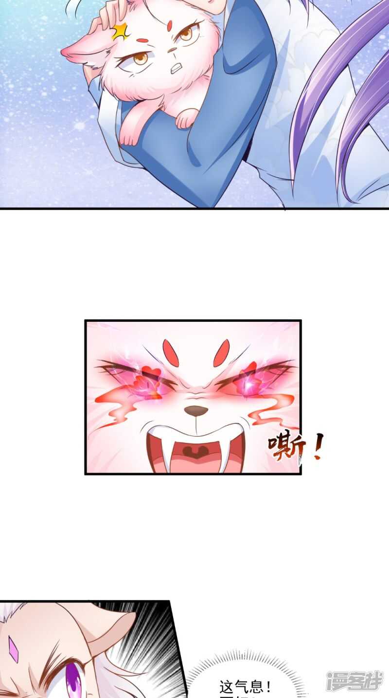 第65话 猫咪变狐狸-第66话