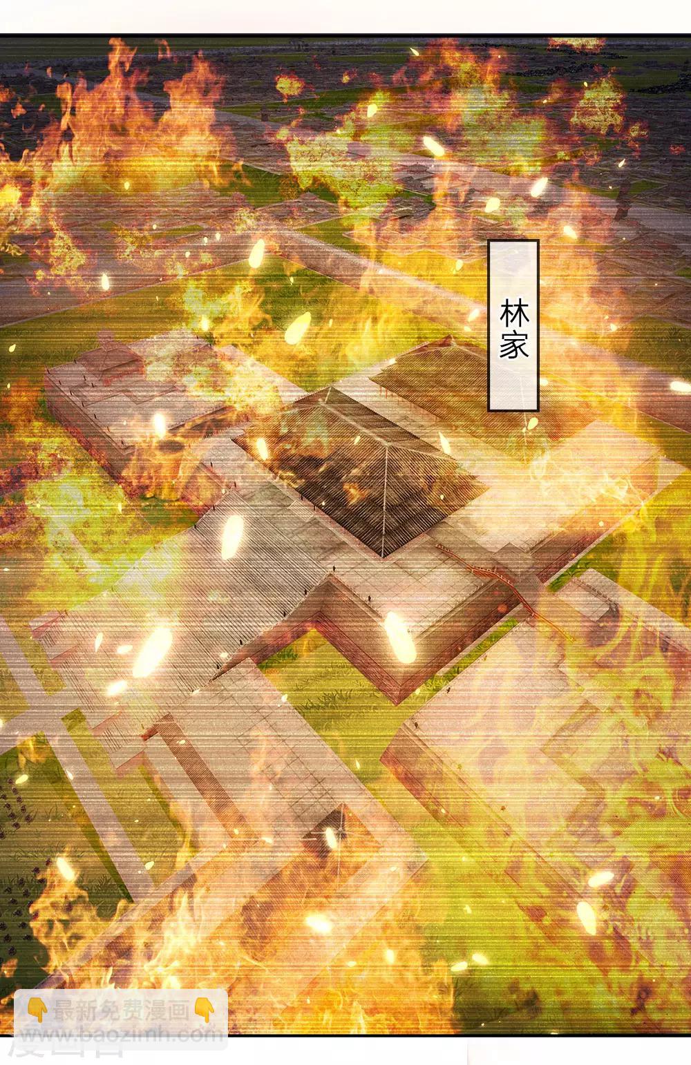 🍗逆天剑神 第60话 林家焚毁，举城同欢 第5页